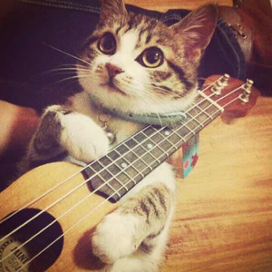 91♥️丨PORNY丨国产jk
